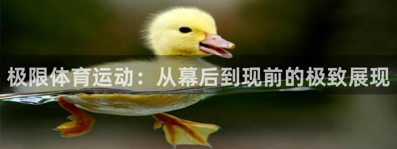 中欧体育最新地址