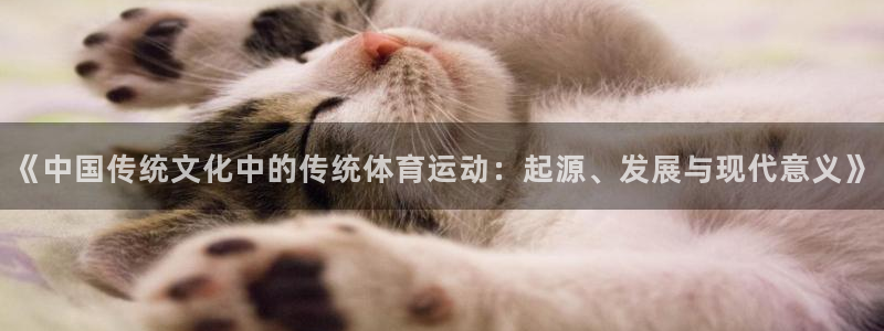 kok中欧体育