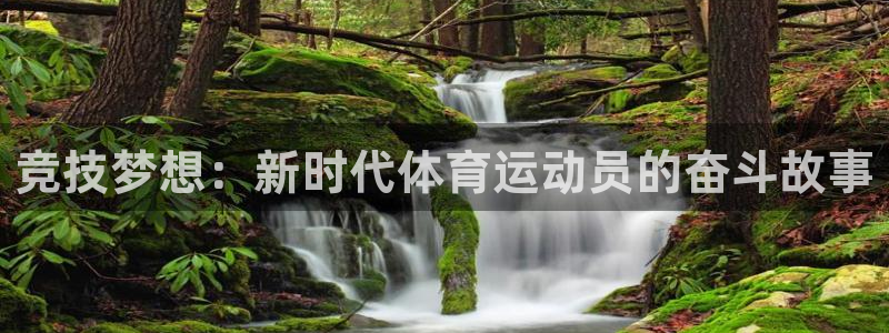 中欧体育下载