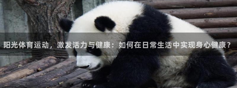 中欧体育kok