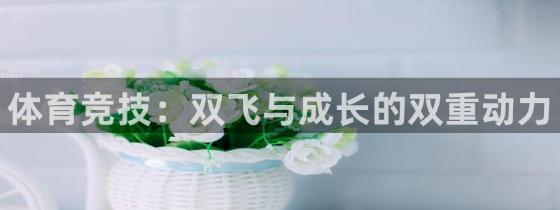 中欧体育全站app