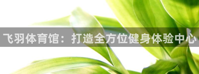 中欧体育下载